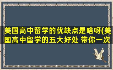 美国高中留学的优缺点是啥呀(美国高中留学的五大好处 带你一次全了解)